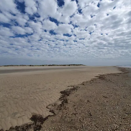 4 Star In Romo-by Traum Sønderby