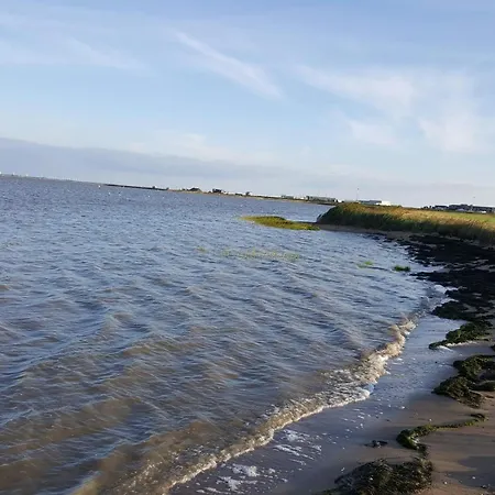 4 Star In Romo-by Traum