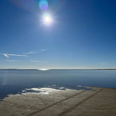 4 Star In Romo-by Traum *