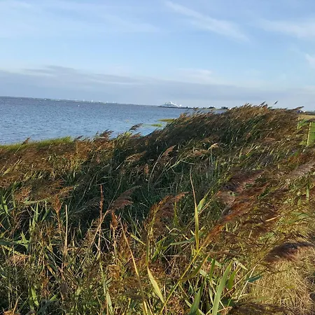 4 Star In Romo-by Traum * Sønderby