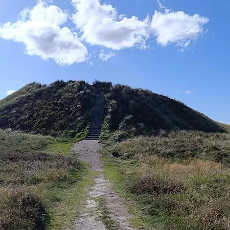 4 Star In Romo-by Traum *