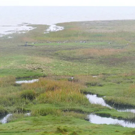 4 Star In Romo-by Traum Ferienhaus *