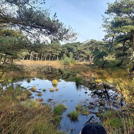 4 Star In Romo-by Traum Ferienhaus Sønderby