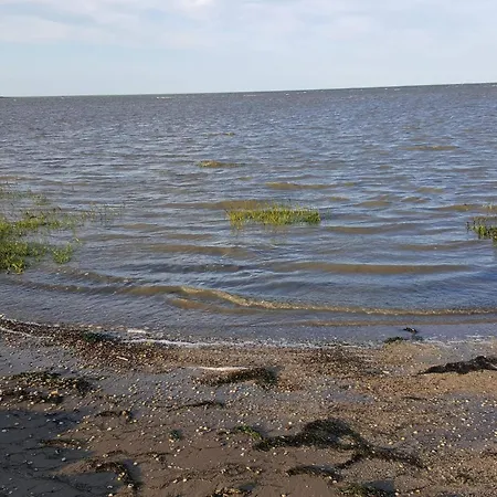 4 Star In Romo-by Traum