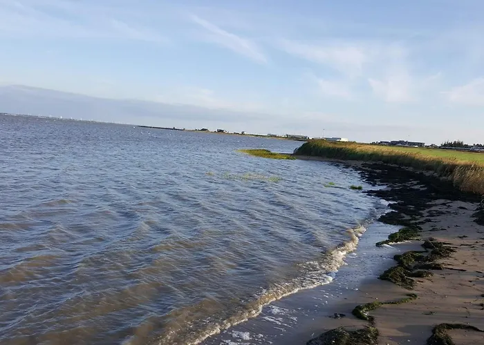 4 Star In Romo-by Traum