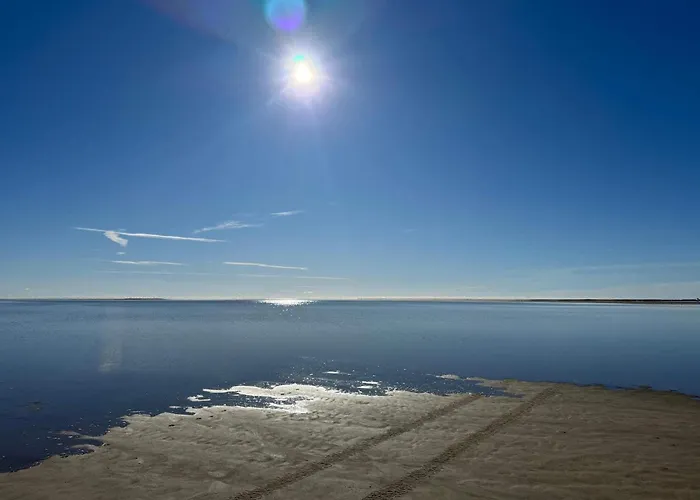 4 Star In Romo-by Traum *