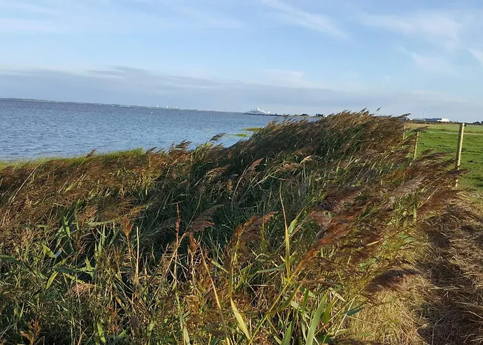 4 Star In Romo-by Traum * Sønderby