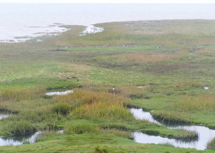 4 Star In Romo-by Traum Prázdninový dům *