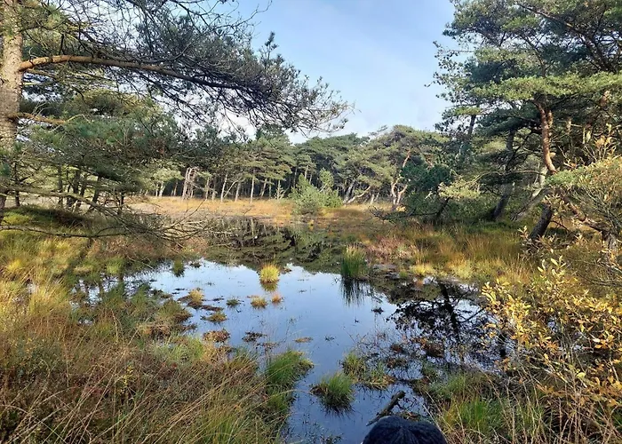 4 Star In Romo-by Traum Prázdninový dům Sønderby