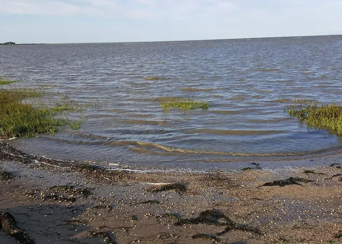 4 Star In Romo-by Traum